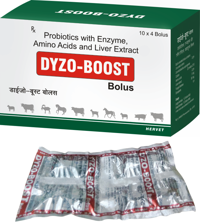 Hervet Product